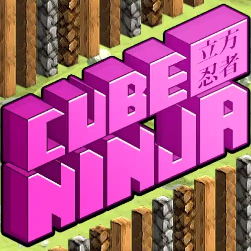 Cube ninja logo
